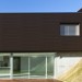 Фасадная панель из ДПК WOODVEX Венге купить в Перми