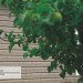 Сайдинг Ю-Пласт TIMBERBLOCK Пихта (Тимберблок) Cахалинская купить в Перми