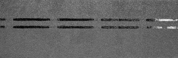 Коньково-карнизная черепица Docke Premium, черника купить в Перми